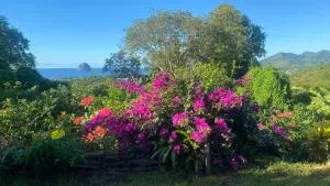 PAVILLON TI GEMME LE DIAMANT - Mare Poirier