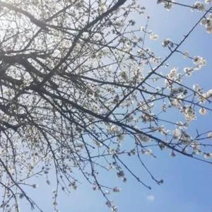 LA VIE DOUCE - La Bruffière