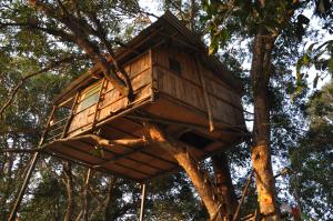 Pemsee's Tree Town - Eco Treehouse Hostel