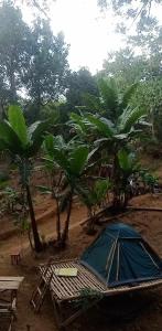 Camping Ground @ Eastdee Lidlidda