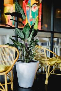 Sugar Hostel Weligama - Coliving & Coworking