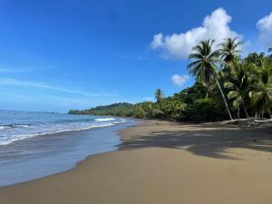 Cabinas Palmera Rincon San Josesito, Drake