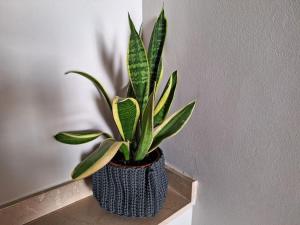 Allotjament amb encant a Tremp