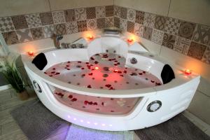 Appartements GREEN SPA Sauna Balneo Centre Agen : photos des chambres