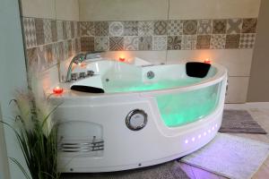 Appartements GREEN SPA Sauna Balneo Centre Agen : photos des chambres