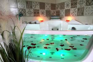 Appartements GREEN SPA Sauna Balneo Centre Agen : photos des chambres