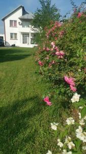 Vila spatioasa 7 camere la lacul BUftea