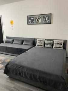 Apartament regim hotelier Băile Felix