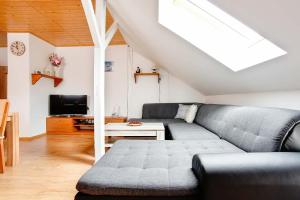 APARTMÁN U MAXÍKŮ