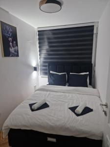 Stan na dan Jelica Stanivuković