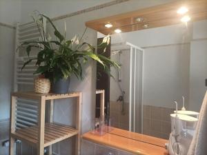 Mia Ginger, Stazione Trastevere vicinanze