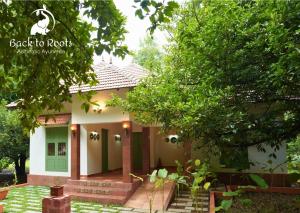 Back to Roots Ayurveda Retreat