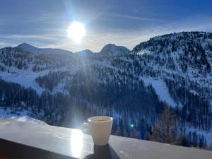 Appartements Les terrasses d Isola B avec parking couvert inclus proche des pistes et de la galerie, residence recente : photos des chambres