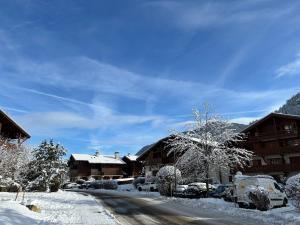 Appartements Praz sur Arly - proche des pistes et de Megeve : photos des chambres