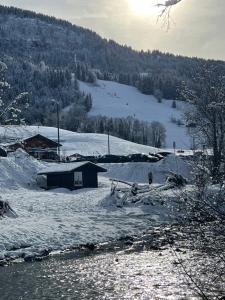 Appartements Praz sur Arly - proche des pistes et de Megeve : photos des chambres
