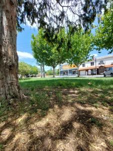 Departamento del Parque