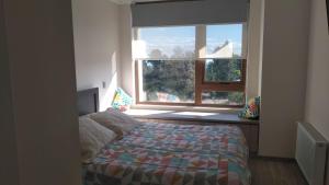 Departamento Pucon Condominio Alicura