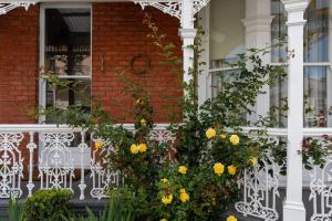 Elizabeth Elegance, Launceston