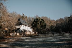 Chalets Cabane Rouge-Gorge : photos des chambres