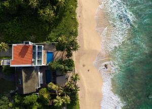 Vis Ta Vie -Thema Collection