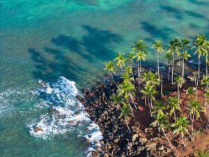 Vis Ta Vie -Thema Collection