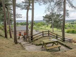 1 bed property in Tansley 61938 - Tansley