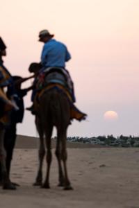 Nomads heaven desert camp jaisalmer