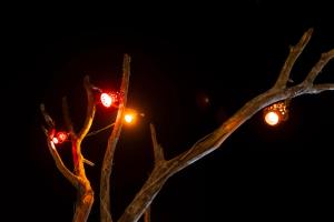 Nomads heaven desert camp jaisalmer