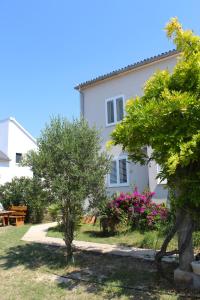 Family apartments Jimmy - city center