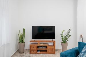 Luxury Museum Apartment Apollo