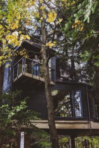 Treehouse Karpacz