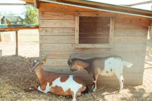 Agriturismo da Pudech