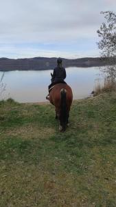 Ferienwohnung Reiterhof am See