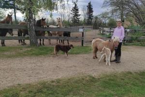 Ferienwohnung Reiterhof am See