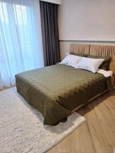 Apartament Septimiu Albini