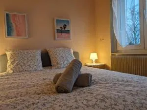Le Bâlois - appartement 2 chambres, salon, cuisine équipée, parking et wifi gratuit - Habsheim