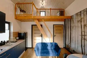 Brzozowe Wzgórze Domki w Chocieszowie - Studzienno