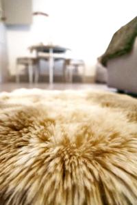 Double Room by Interlaken. Parking