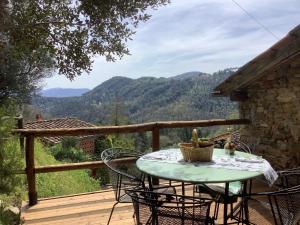 Casa rurale Colleccio - colline di Lucca