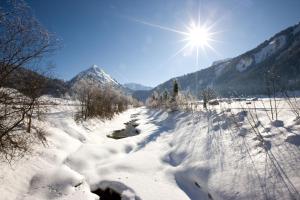 Appartements Moosbrugger Haus Herlinde