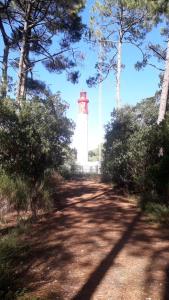 Appartements CHARMANT APPARTEMENT CENTRE VILLE : photos des chambres