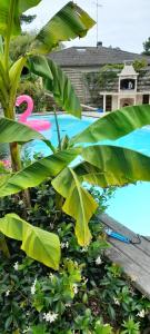 Maisons de vacances Maison spacieuse avec piscine et jardin : photos des chambres