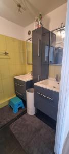Appartements Logement spacieux et agreable : photos des chambres