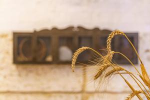 Il Granile Contemporary Loft