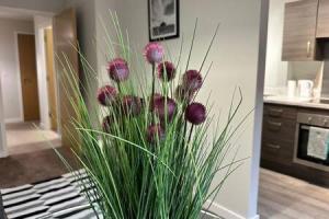 Cosy 1 Bed Central Manchester Apartment Sleeps 2