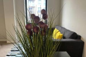 Modern 1 Bed Apartment Central Manchester Sleeps 2