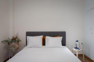 Lovely Apartment in Exarcheia