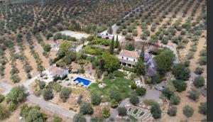 Finca Dariana Padel & Pool