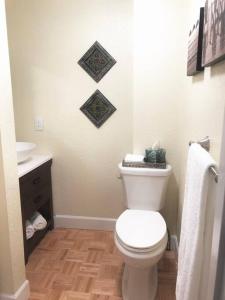 2 Bedroom Apt Overlooking Dunedin Town Square NO KIDS, NO PETS
