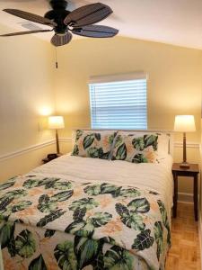 2 Bedroom Apt Overlooking Dunedin Town Square NO KIDS, NO PETS